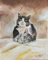 /album/creations-gilbert-clair/bianco-et-nalla-juin-2026-jpg/